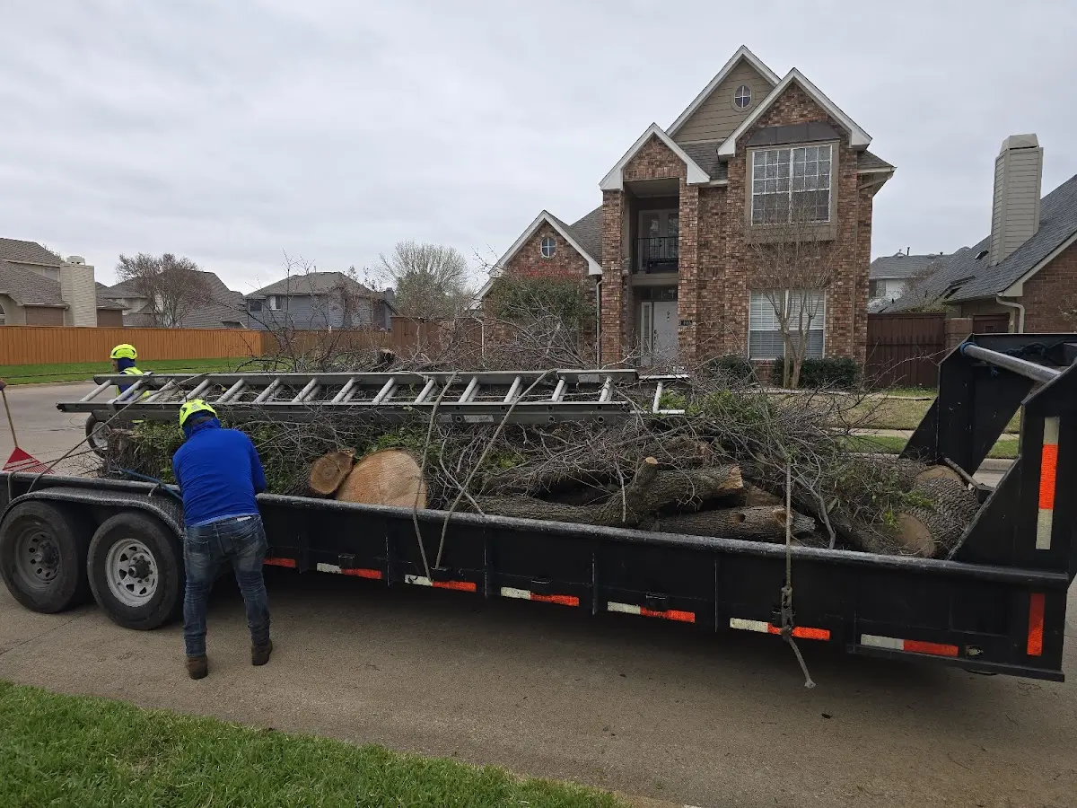 Expert Lot Clearing with proper safety equipment in Springdale